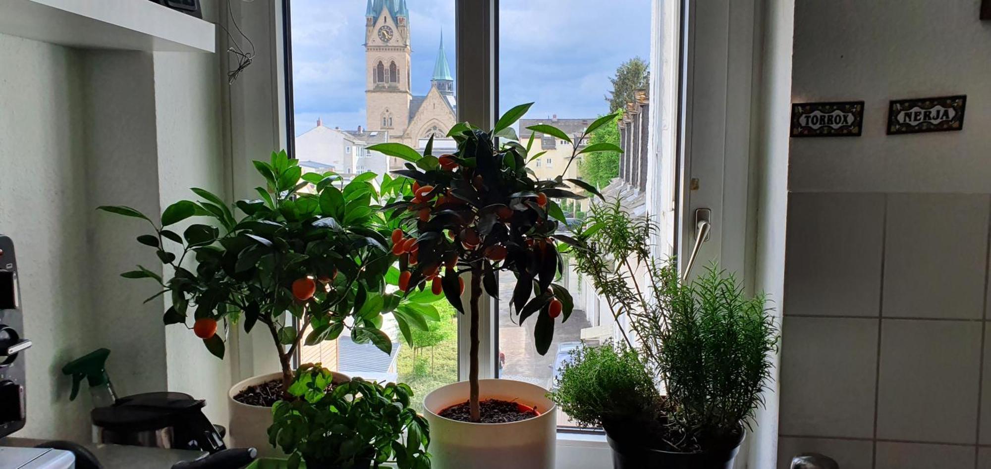 Von Privat, Grosses Zimmer Sehr Zentral In Bad Homburg Stadtmitte Bad Homburg vor der Hoehe Exterior photo